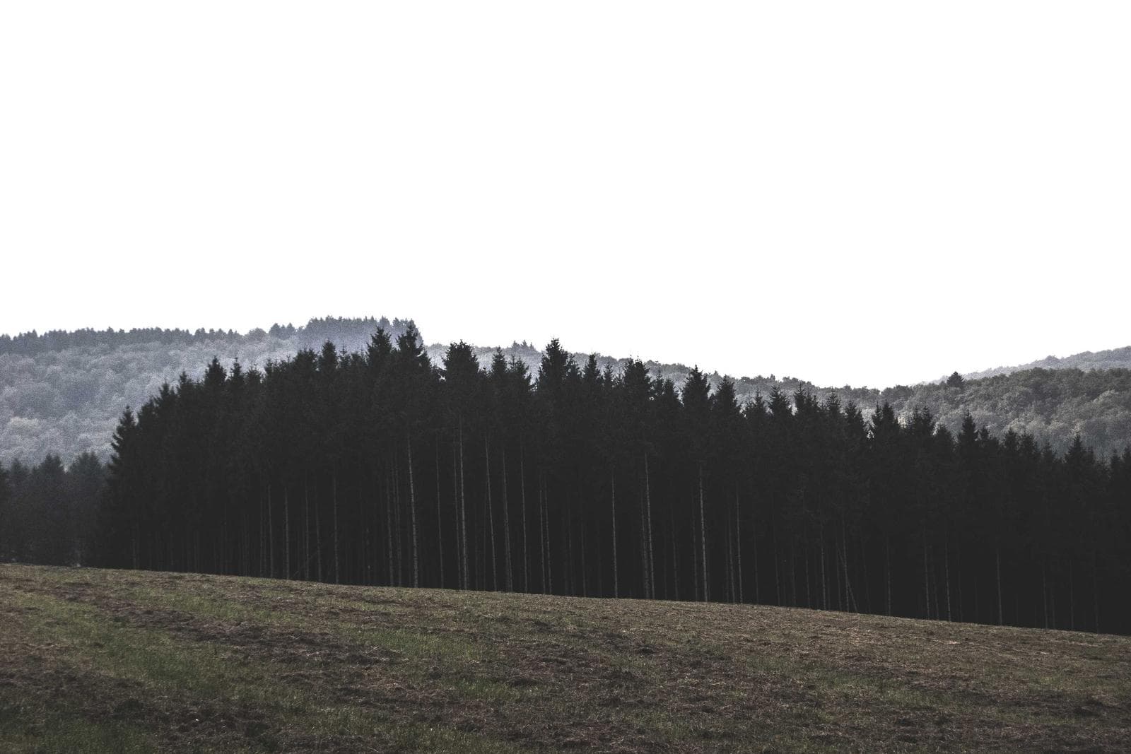 (untitled)